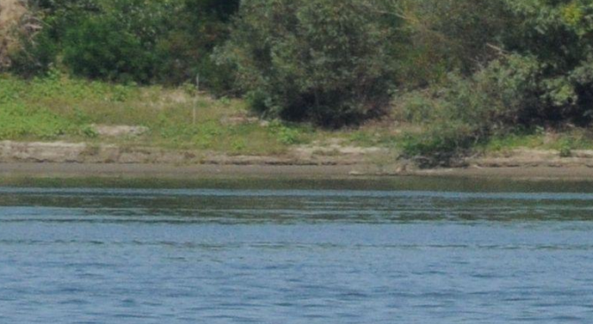 Млад мъж се е удавил в езерото в лесопарка "Липник"