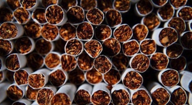 Близо 50 кг тютюн и 16 000 къса цигари са