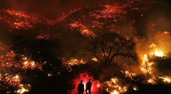 На фона на разрушенията от пожарите в Калифорния, една история