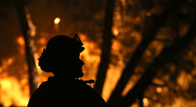 Пожар горя почти десет часа в Белград, съобщи местното радио