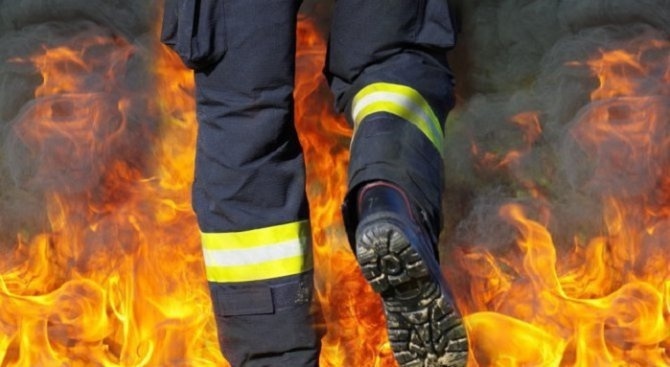 Нов пожар избухна в Гърция. Този път огненото бедствие възникна