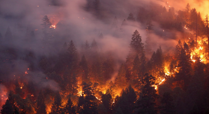 Горският пожар в Мендосино, Северна Калифорния, разгарян от сухата растителност