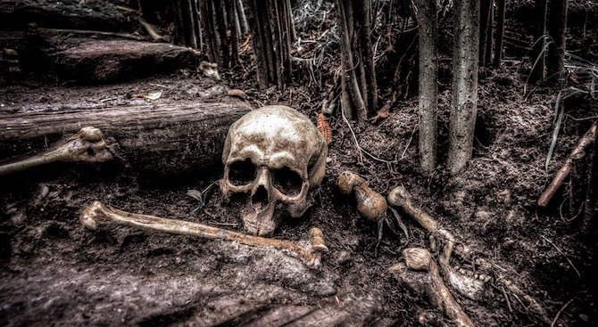 Кости, наподобяващи човешки останки, са открити в частен имот в