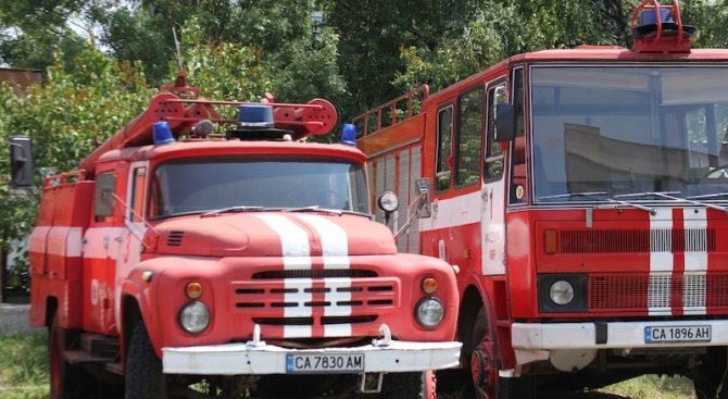 Пожарникари извадиха четири котенца от шахта във Велико Търново, съобщиха