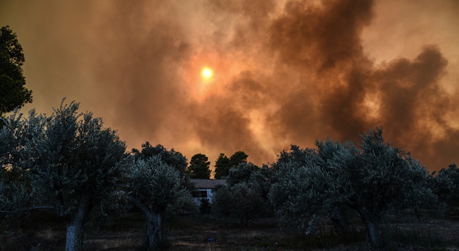 Месец след огнената трагедия в Гърция. При пожарите в Атика