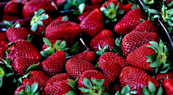 Откриха ягоди със забити игли в тях в магазини в