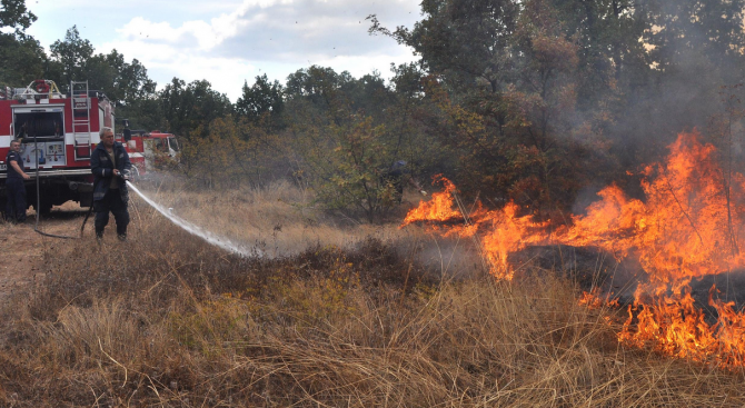 Голям пожар гори край Пазарджик, съобщава Нова тв. Горят сухи
