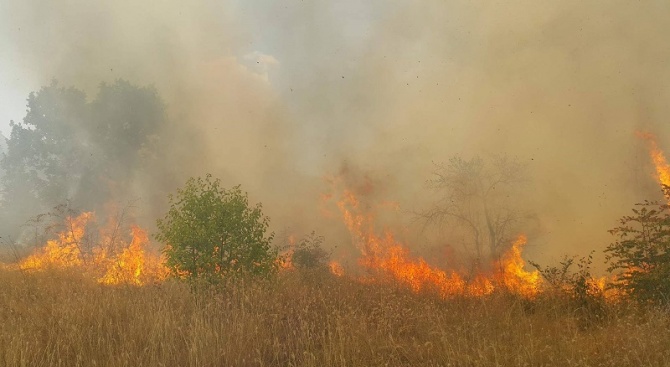 Пожар гори в близост до бул. „Европа“, след разклона за