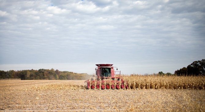 Земеделските стопани в Добричка област произведоха 821 337 тона фуражно