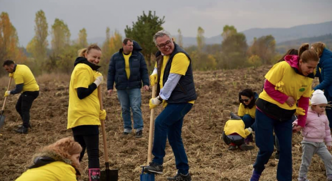 Нови 6200 дървета са засадени в Новата гора на София