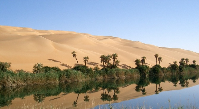 Арабската пустиня цъфна. Заради рекордните валежи в Близкия и Среден