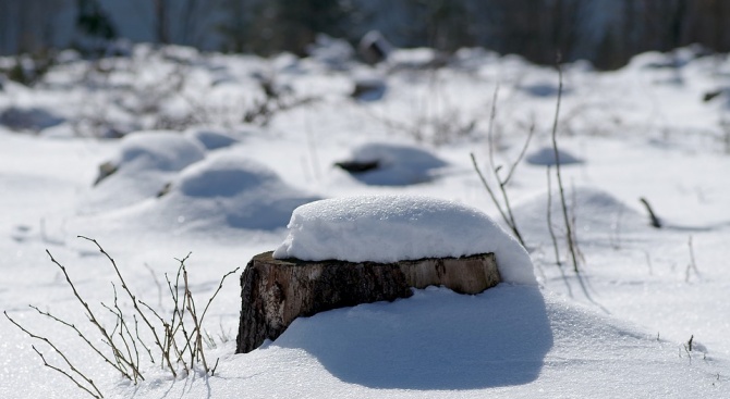 Най-дебела е снежната покривка в Кнежа – 24 см, съобщи