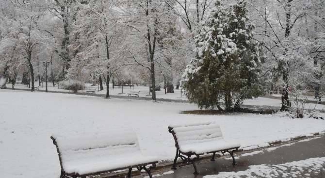 Снежната покривка в София вече е около 4-5 сантиметра. Заради