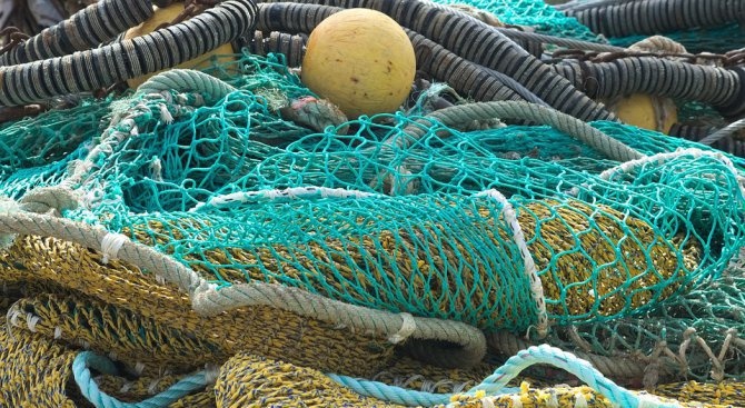 Близо 300 килограма риба е освободена от бракониерски мрежи на