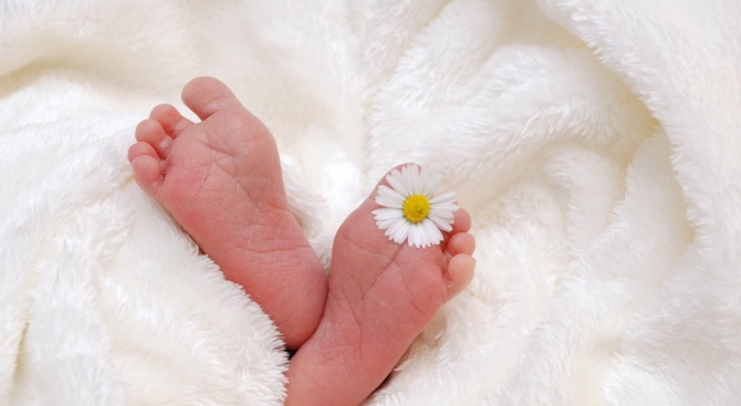 Сестри близначки са родили своите деца днес в Акушеро-гинекологичния комплекс