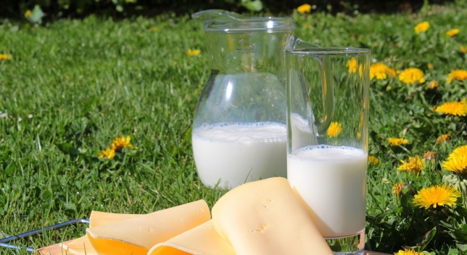 От днес имитиращите млечни продукти в страната ще бъдат продавани