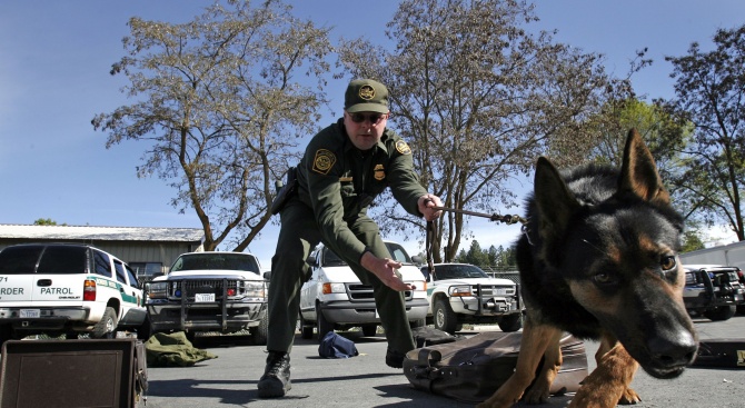 Полицейско куче оживя и се възстановява след като по спешност