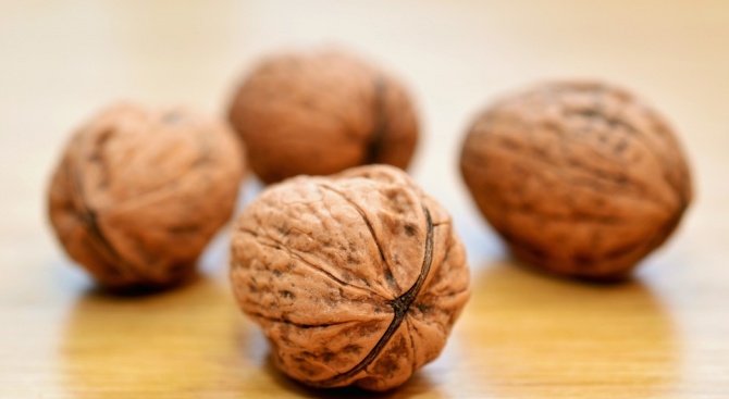 Яжте повече орехи, съветват американски експерти от университета „Ню Мексико“,