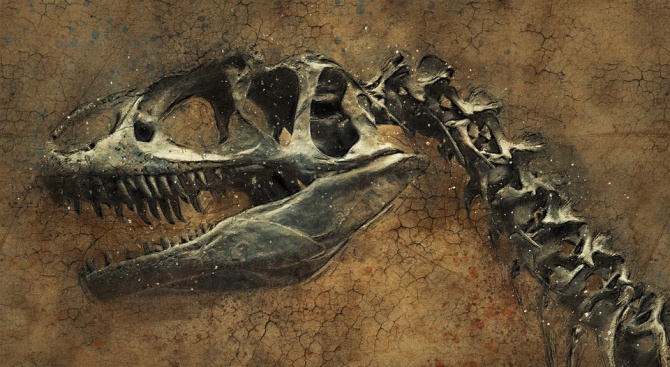 Сравнително добре запазен скелет на тревопасен динозавър, открит в скала