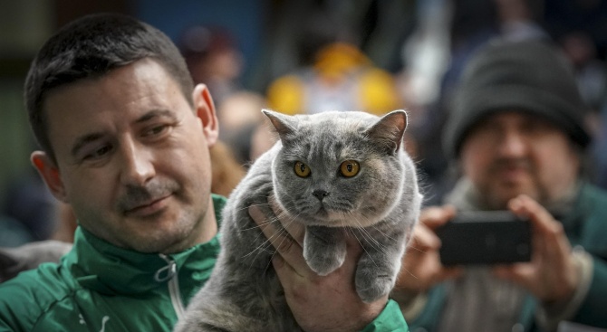 Стотици столичани посетиха международната изложба на котки в музея "Земята