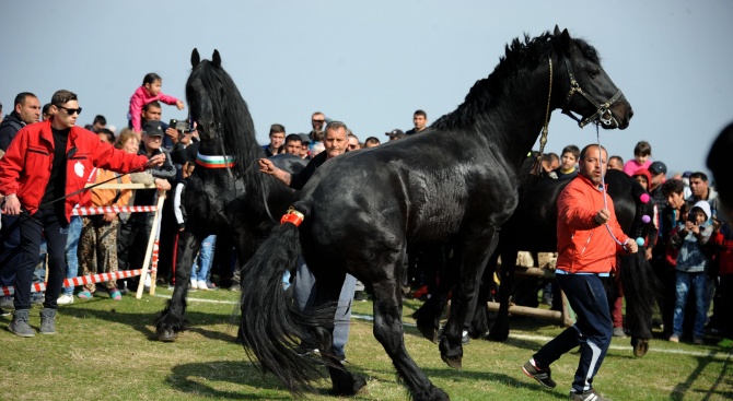 Днес, седмица след традиционните Тодорови конни състезания, в Попица се