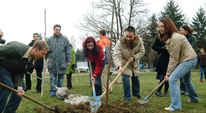 Общо 150 дървета ще засадят учени и служители от Българската