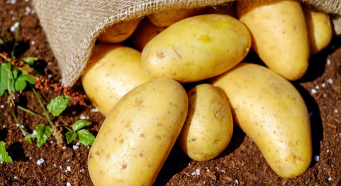 Старите картофи се продават два и половина пъти по-скъпо в