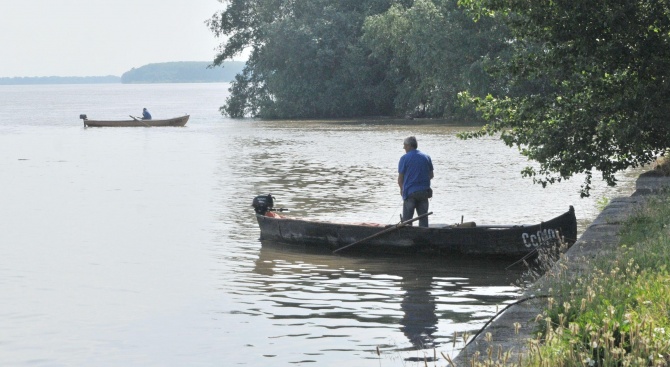 Високото ниво на река Дунав благоприятства популацията на рибите, но