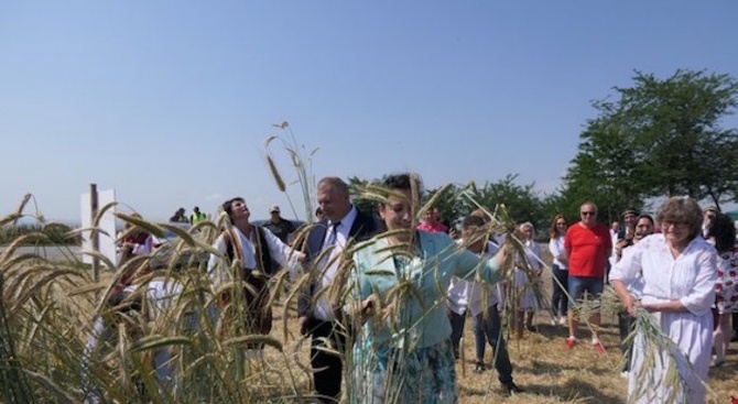 Министърът на земеделието Десислава Танева ще открие жътвената кампания в