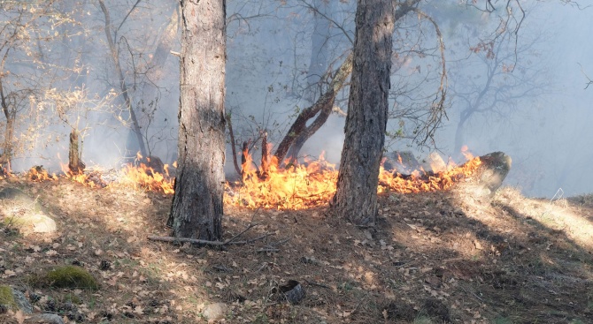 Регионална дирекция ПБЗН-Сливен ще проведе пожаротактическо учение за действия при