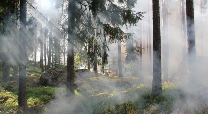 Екстремален индекс за пожароопасност има на места в област Добрич.