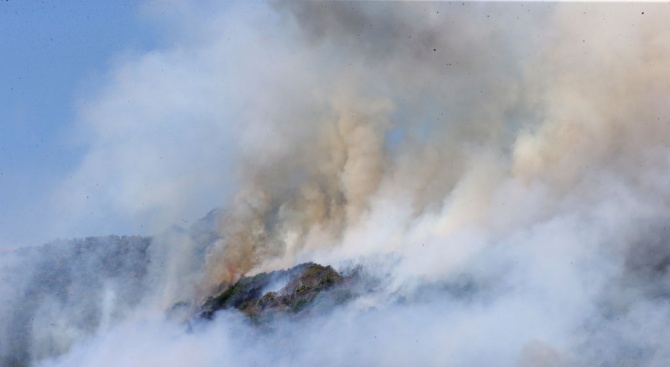 Площта на горските пожари в Сибир надхвърля 1,5 милиона хектара