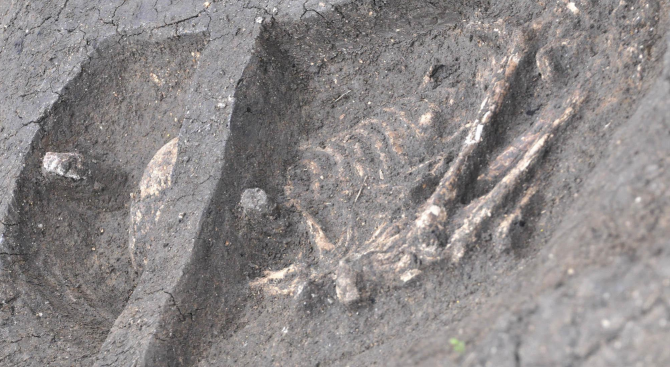 Проучванията на селищна могила Юнаците през настоящия археологически сезон са