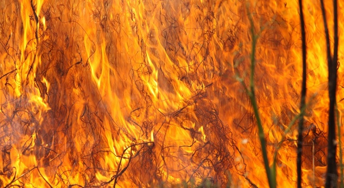 Сухи треви и растителност са се запалили до пловдивското село