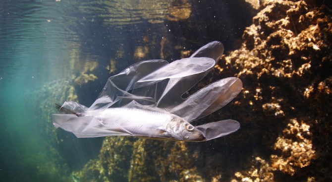 А в Черно море се увеличава количеството на пластмасови отпадъци.