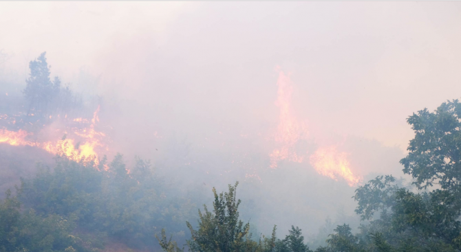 Голям пожар пламна край старозагорското село Малка Верея. Гори широколистна