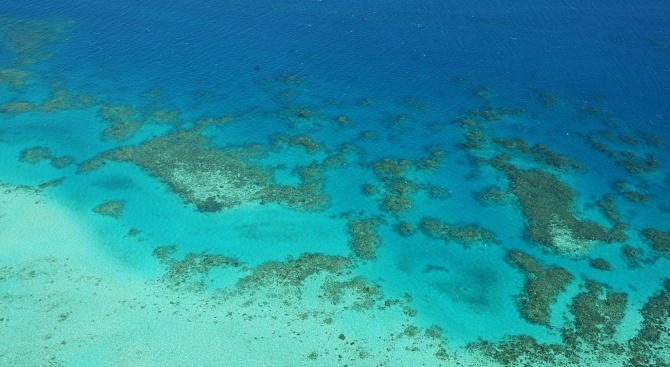 Перспективите за Големия бариерен риф бяха занижени от „лоши” към