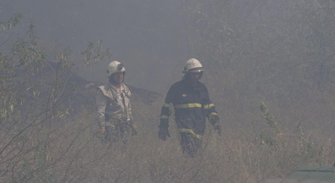 Образувано е досъдебно производство за пожара в парк „Борова гора”