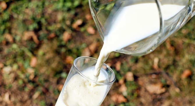 За четвърти път млекопреработватели от страната се събират в Луковит