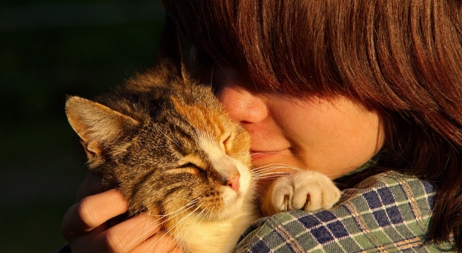 Котките винаги са възприемани като по-малко любящите домашни любимци, но