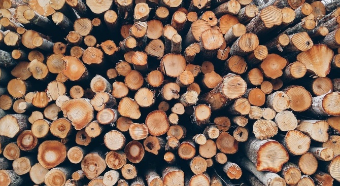 Незаконно добита дървесина, установиха служители на РУ – Елена. Вчера