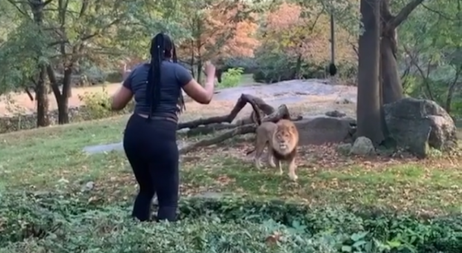 Нюйоркската полиция издирва посетителка на зоопарка в Бронкс, която си