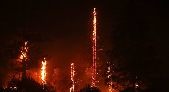 Огромните горски пожари в мексиканския щат Баха Калифорния взеха най-малко