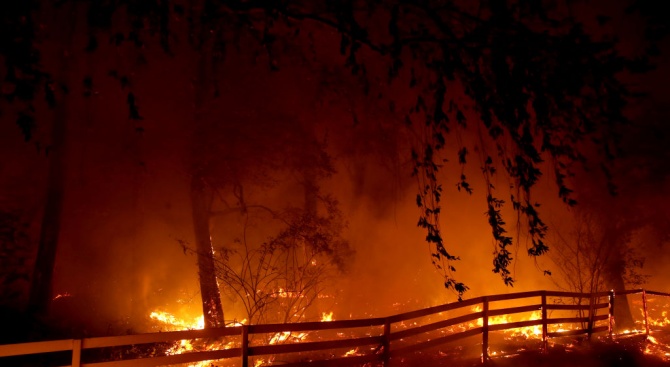 Няма данни за пострадали български граждани при горските пожари в