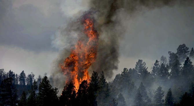 Още един горски пожар бушува в Благоевградско. Пожарът е пламнал