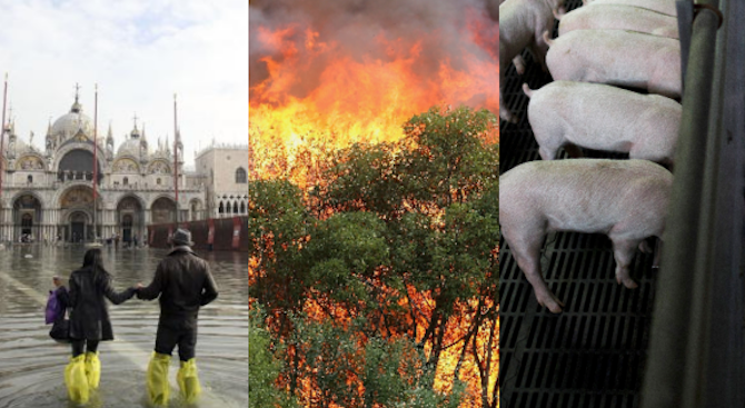 Необичайно тежките наводнения във Венеция, пожарите в Австралия и дори