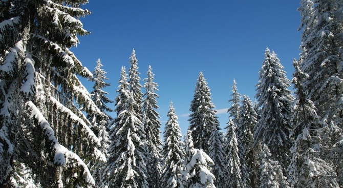 Пътищата в района на Пампорово са проходими при зимни условия.