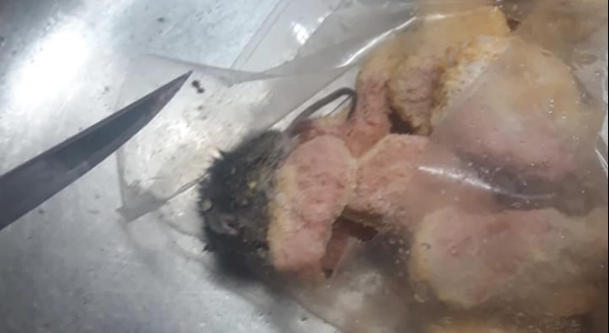 На мишка в замразени пилешки хапки се е натъкнала жена