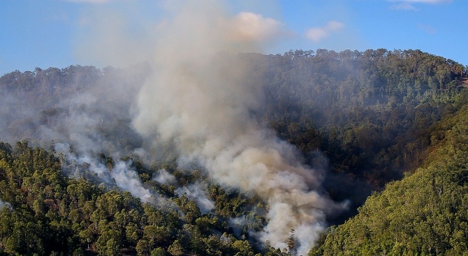 Заради пожарите в Австралия е отчетен един от най-големите ръстове
