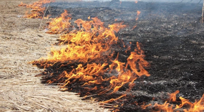 Погасен е пожарът в Драгоманското блато който избухна снощи Изгорели